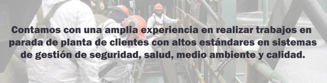 revinsac-quienes-somos-1