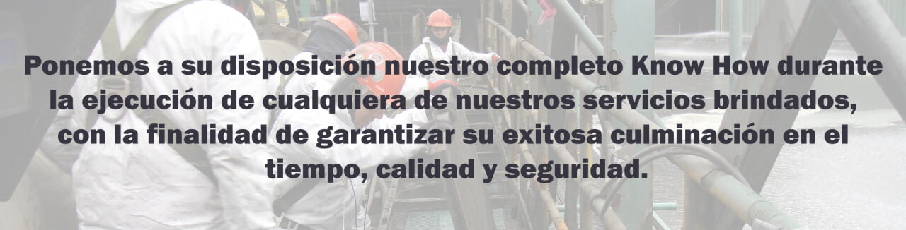 revinsac-quienes-somos-2